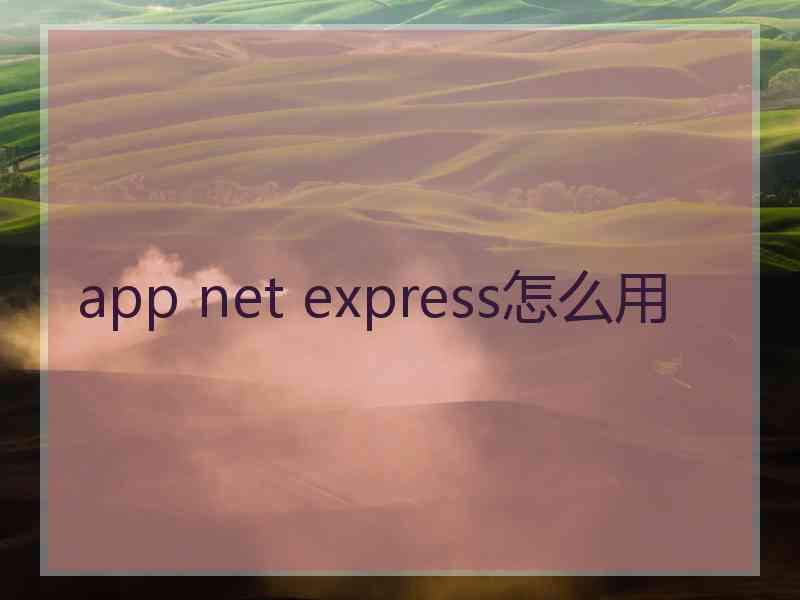 app net express怎么用