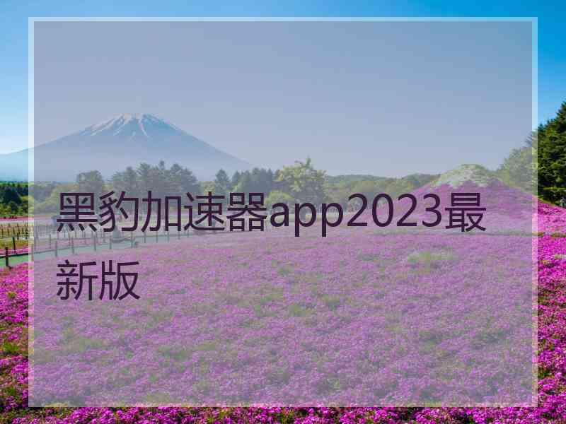 黑豹加速器app2023最新版