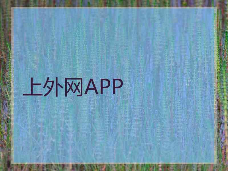 上外网APP