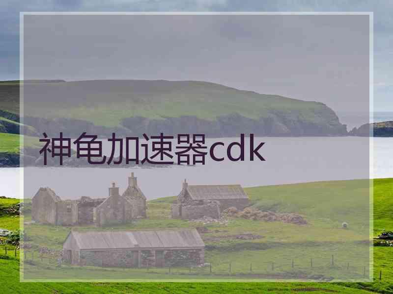 神龟加速器cdk