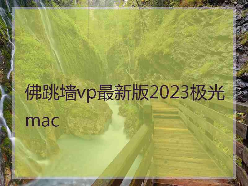 佛跳墙vp最新版2023极光 mac