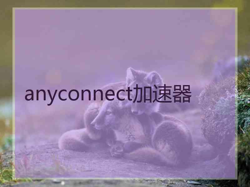 anyconnect加速器