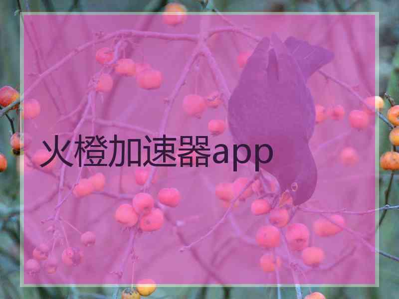 火橙加速器app