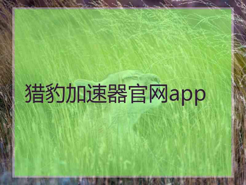 猎豹加速器官网app