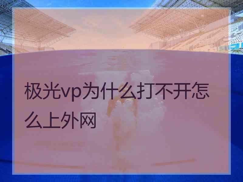 极光vp为什么打不开怎么上外网