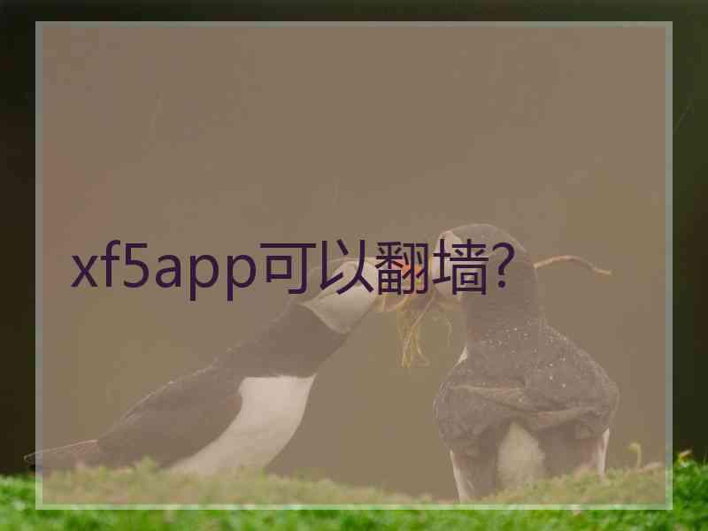 xf5app可以翻墙?