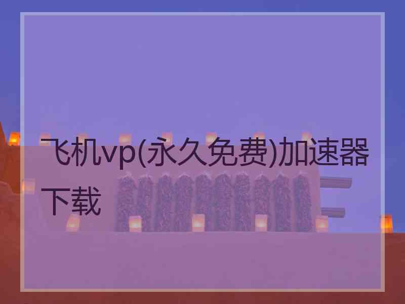 飞机vp(永久免费)加速器下载