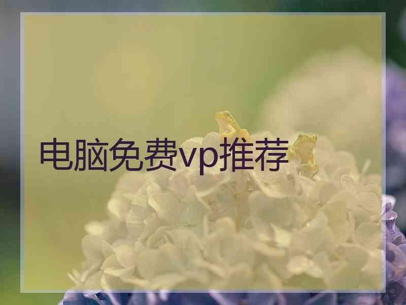 电脑免费vp推荐