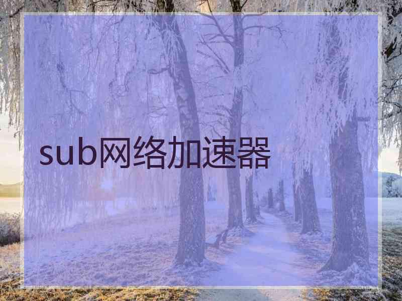 sub网络加速器