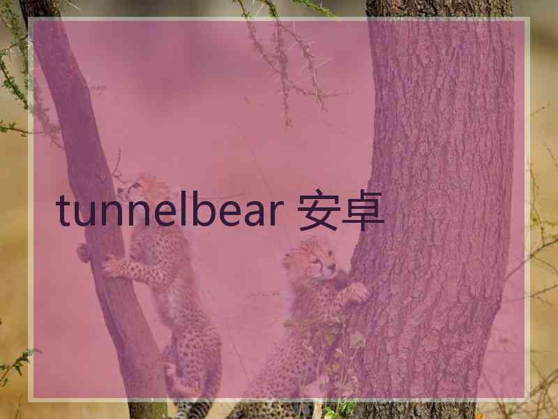 tunnelbear 安卓