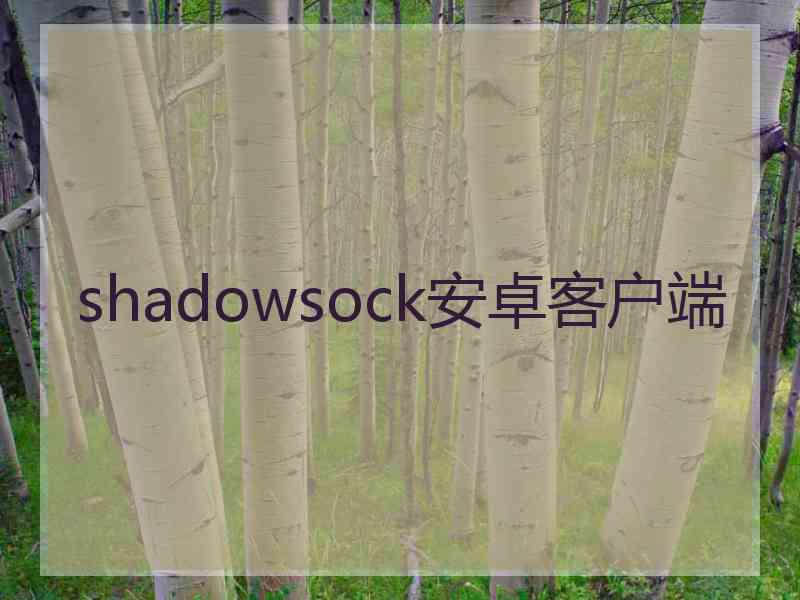 shadowsock安卓客户端