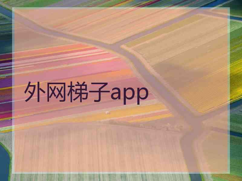 外网梯子app