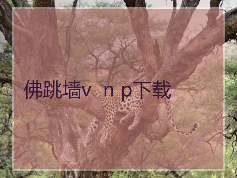 佛跳墙v  n p下载