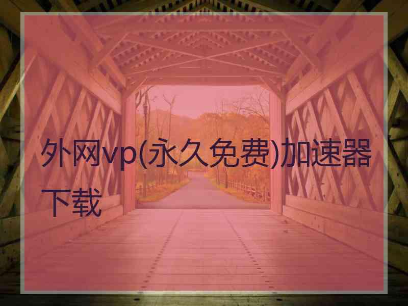 外网vp(永久免费)加速器下载