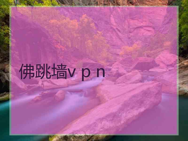 佛跳墙v p n