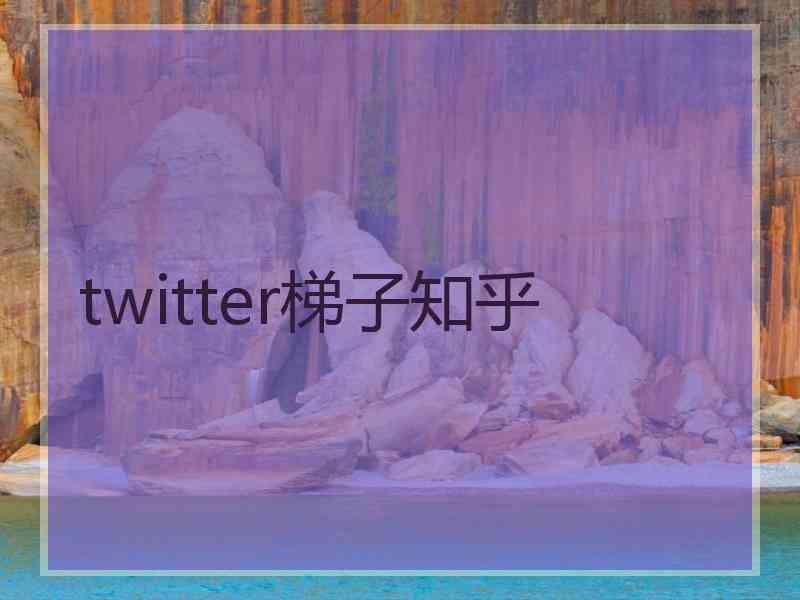 twitter梯子知乎