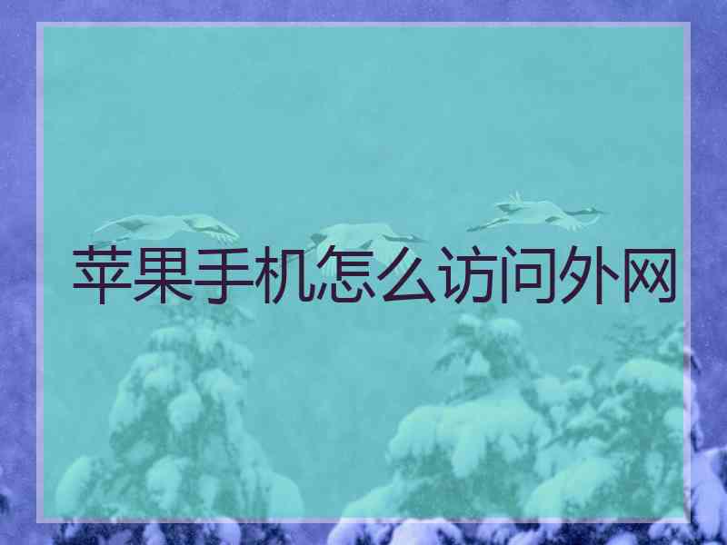 苹果手机怎么访问外网