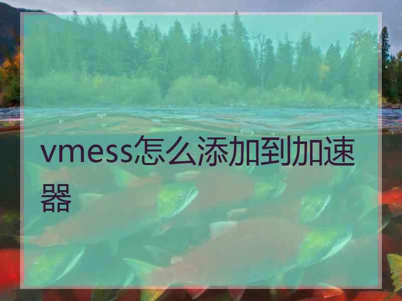 vmess怎么添加到加速器