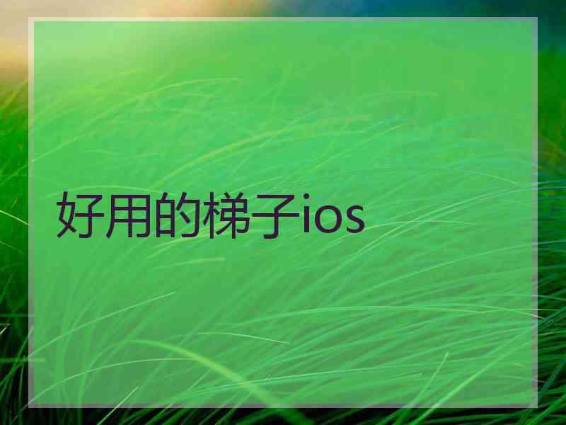 好用的梯子ios