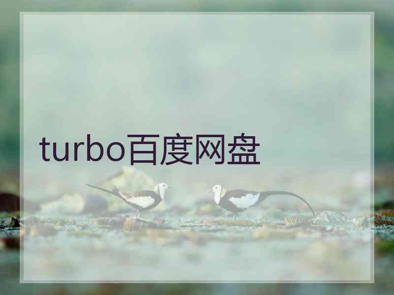 turbo百度网盘