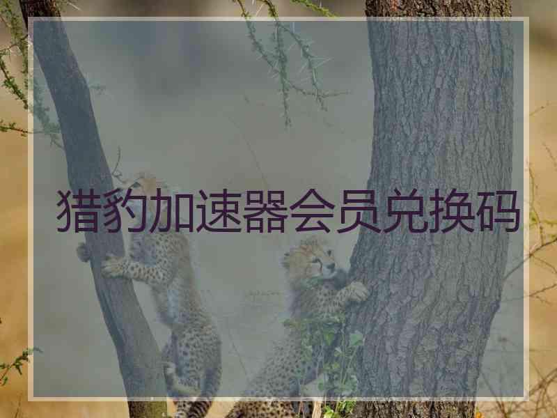 猎豹加速器会员兑换码